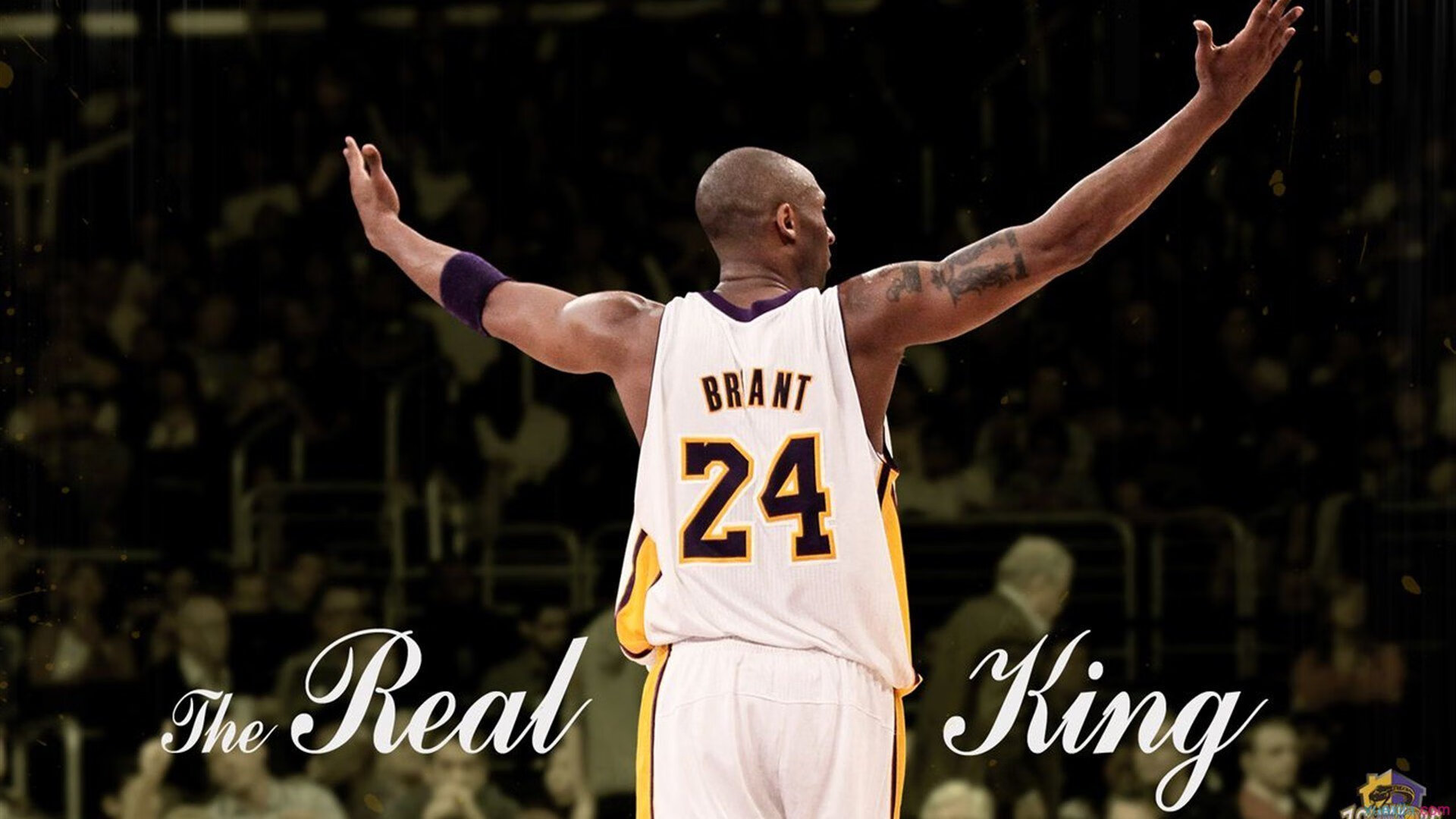 赛道与球场，浓眉的F1首胜与辽宁队的统治之夜